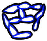 Image of the occurrence